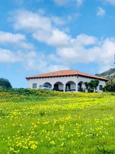 Cala Azul Residence B&B Alghero Ngoại thất bức ảnh