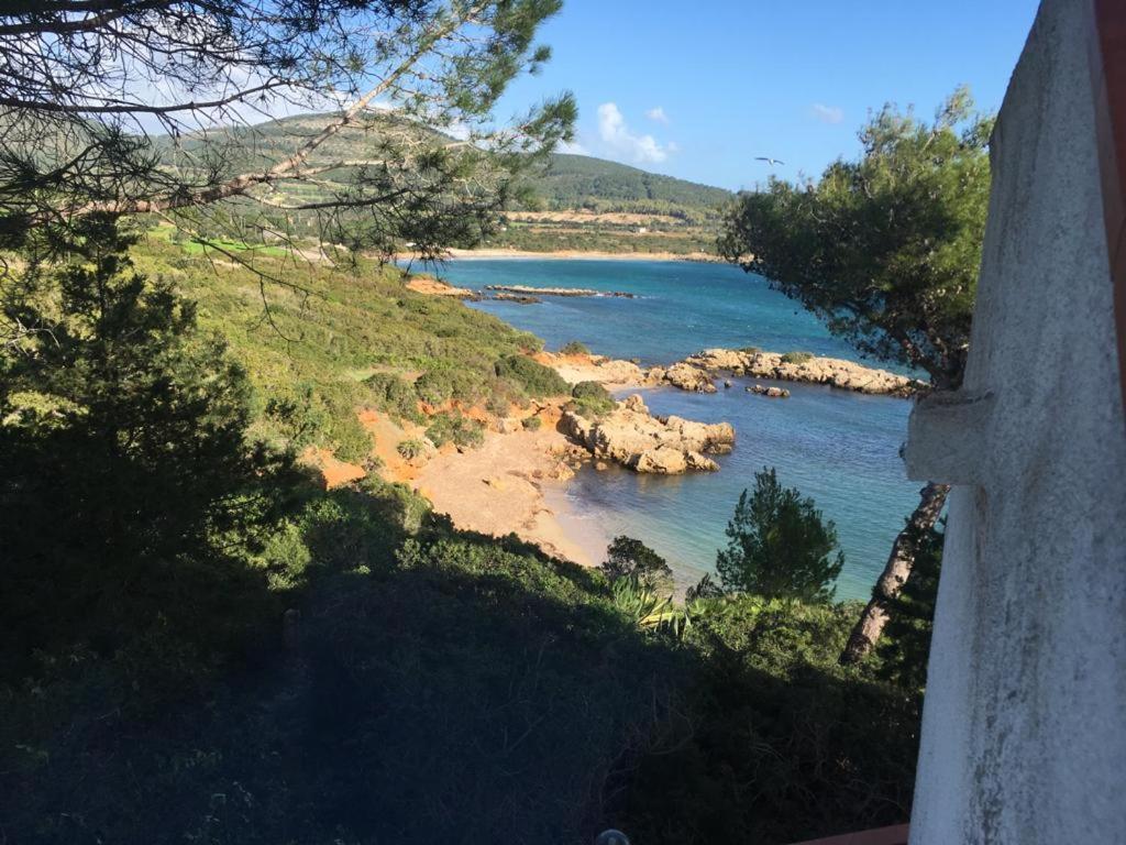 Cala Azul Residence B&B Alghero Ngoại thất bức ảnh